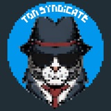 TON SYNDICATE SBT