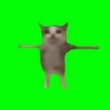 T POSE Portal