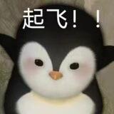 发财虎工作日记