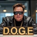 D.O.G.E Official