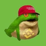TROG - Trump Frog Ann🐸