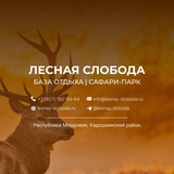 ЛЕСНАЯ СЛОБОДА | МОРДОВИЯ