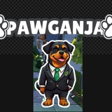 Pawganja Coin Subscribers