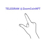 Zoom Coin NFT