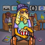 BirdDog $SMOKER | Portal
