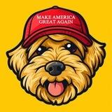 PATTON (Trump's First Dog |LP BURN|2%REFLECTION|