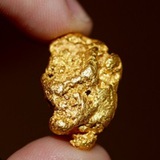 Gold exploration school