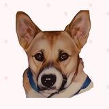 Kenchan - First dog of kabosumama