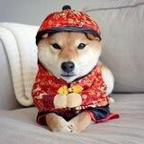 NIHAO COIN CTO