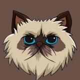 MISTER MIGGLES PORTAL