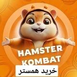 خرید ناتکوین| همستر
