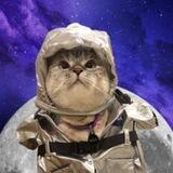 Moon cat - CTO