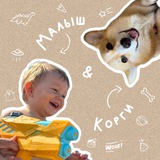 Малыш & корги