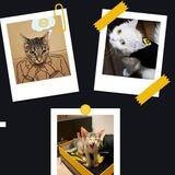 BINANCE CAT DAY