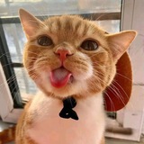 millycto