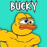 Bucky