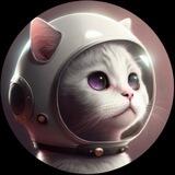 TON Cat
