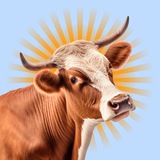 SunBull 🐂☀️
