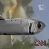 Sardine 737 $JET Portal