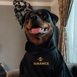Chief Happiness Officer Portal