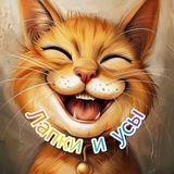Лапки и усы😸