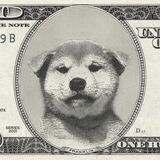 usDog CTO Portal