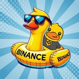 binance duck $BNDUCK CTO