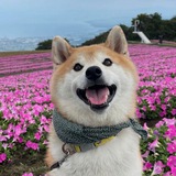 $FUKU