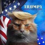 Trumpy on Solana