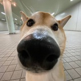 KURIBO 歓迎します