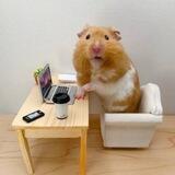 Kombat The Hamster Portal