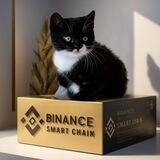 BABY POSEIDON | BABY BINANCE CAT | 0/0 TAX | LP BURNT |