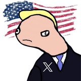 TrempX