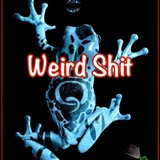 WeirdShit2