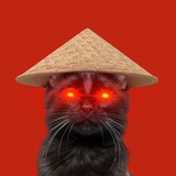 sagucat 薩古貓 portal