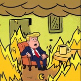 Trump is fine| Community Portal
