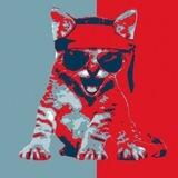 OG Roaring Kitty Portal