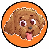 Toy Poodle Inu 🚀🚀🚀