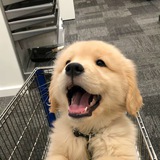 QQ附近的人交单群