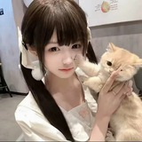 小猫选妃频道【全网最低价】