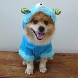 Monster Dog $MDOG