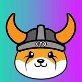 FLOKI CTO