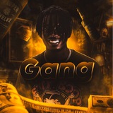 Gang V Cryptovalyte 🔐