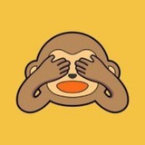 Wise 🐒 Monkey