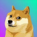 $DOGE | PORTAL