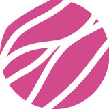 PiNK Rabbit Gallery