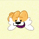 Corgi Life - Cto