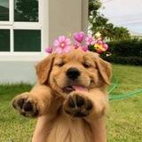 BUDDY CTO PORTAL