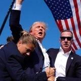 TrumpvsBullet Portal