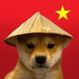 DOG WIF CHINESE HAT PORTAL